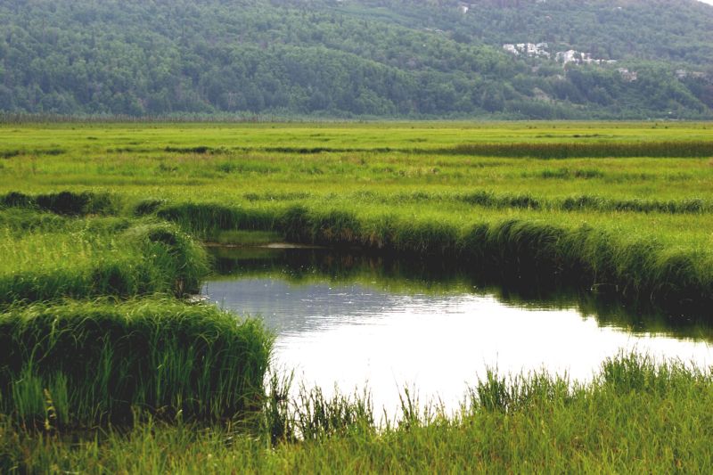 070404 Hope Hatcher Montana Creek (10070)